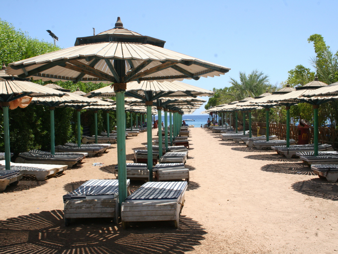 Winter holiday on the beach in the resort of Sharm El Sheikh, Egypt