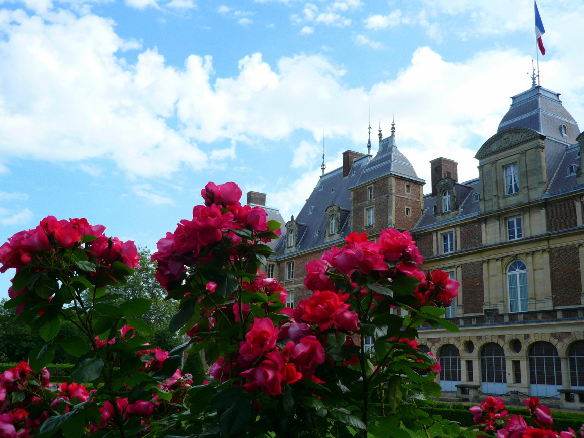 Цветы в Нормандии, Франция