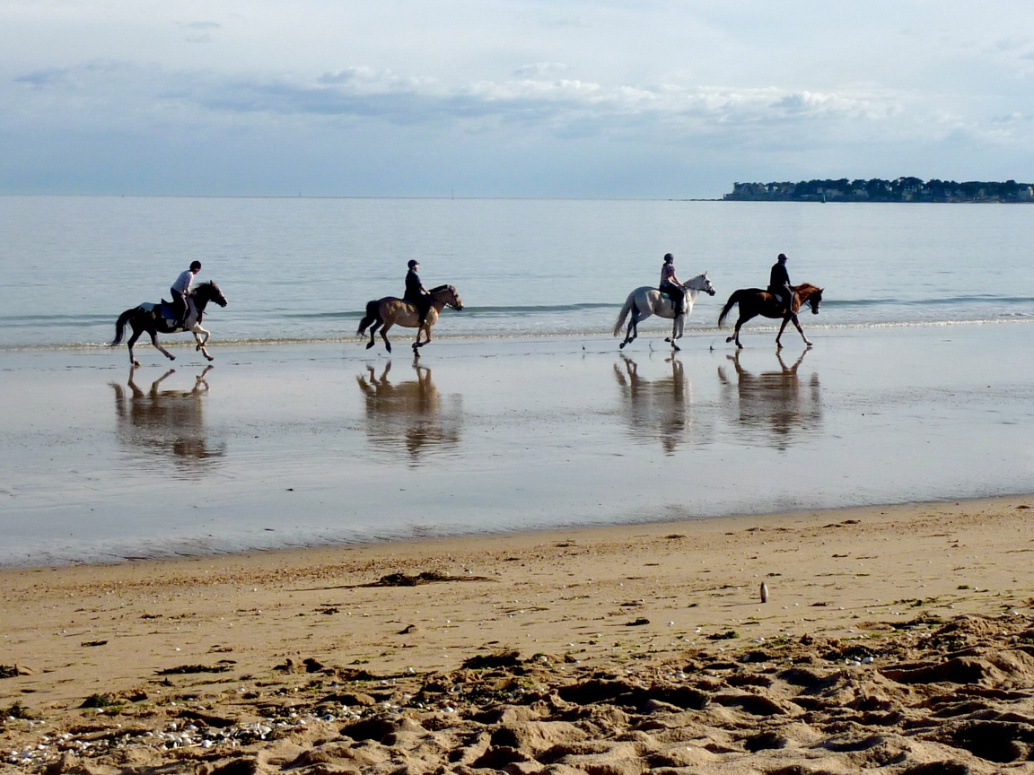 Конная прогулка на курорте Ла Боль, Франция