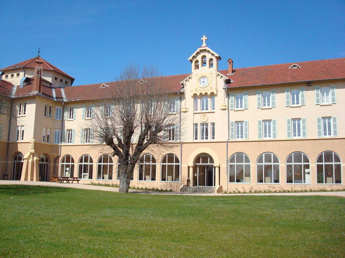Дерево у здания в городе Лион, Франция