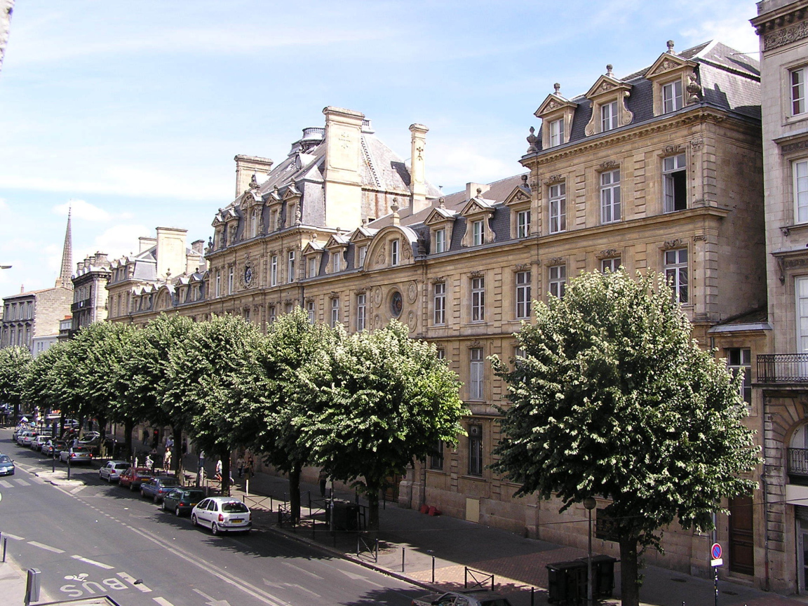 Деревья на улице в Бордо, Франция