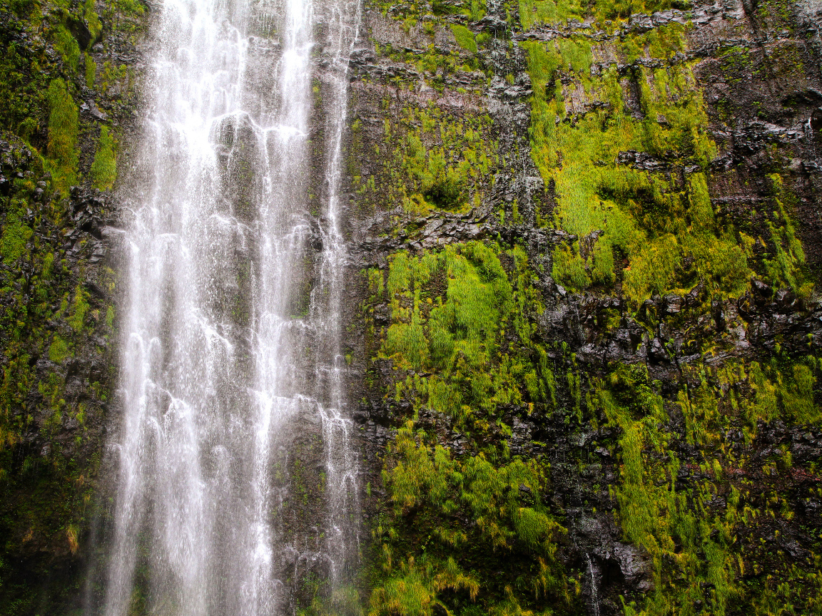 Красивый водопад Ваймоку на острове Мауи, Гавайи