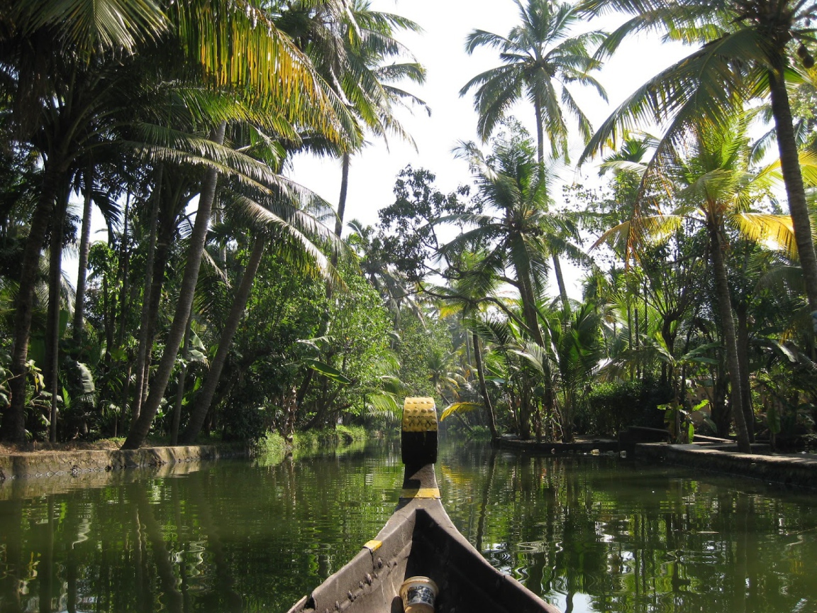 Прогулка на лодке в Алапуже