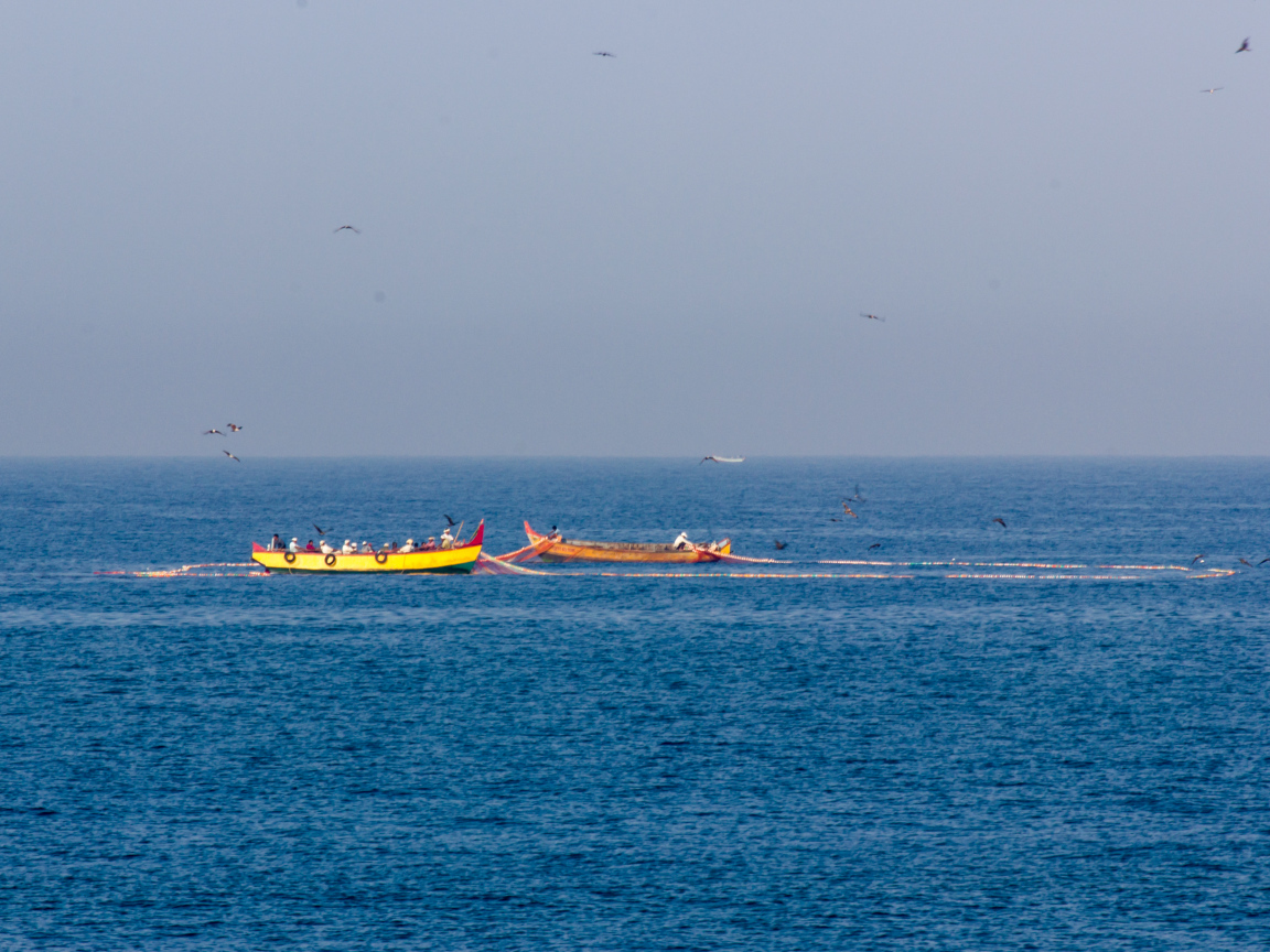 Лодки возле побережья в Варкале
