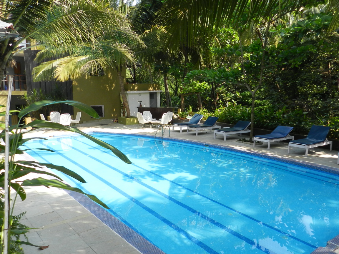 Бассейн в Вагаторе