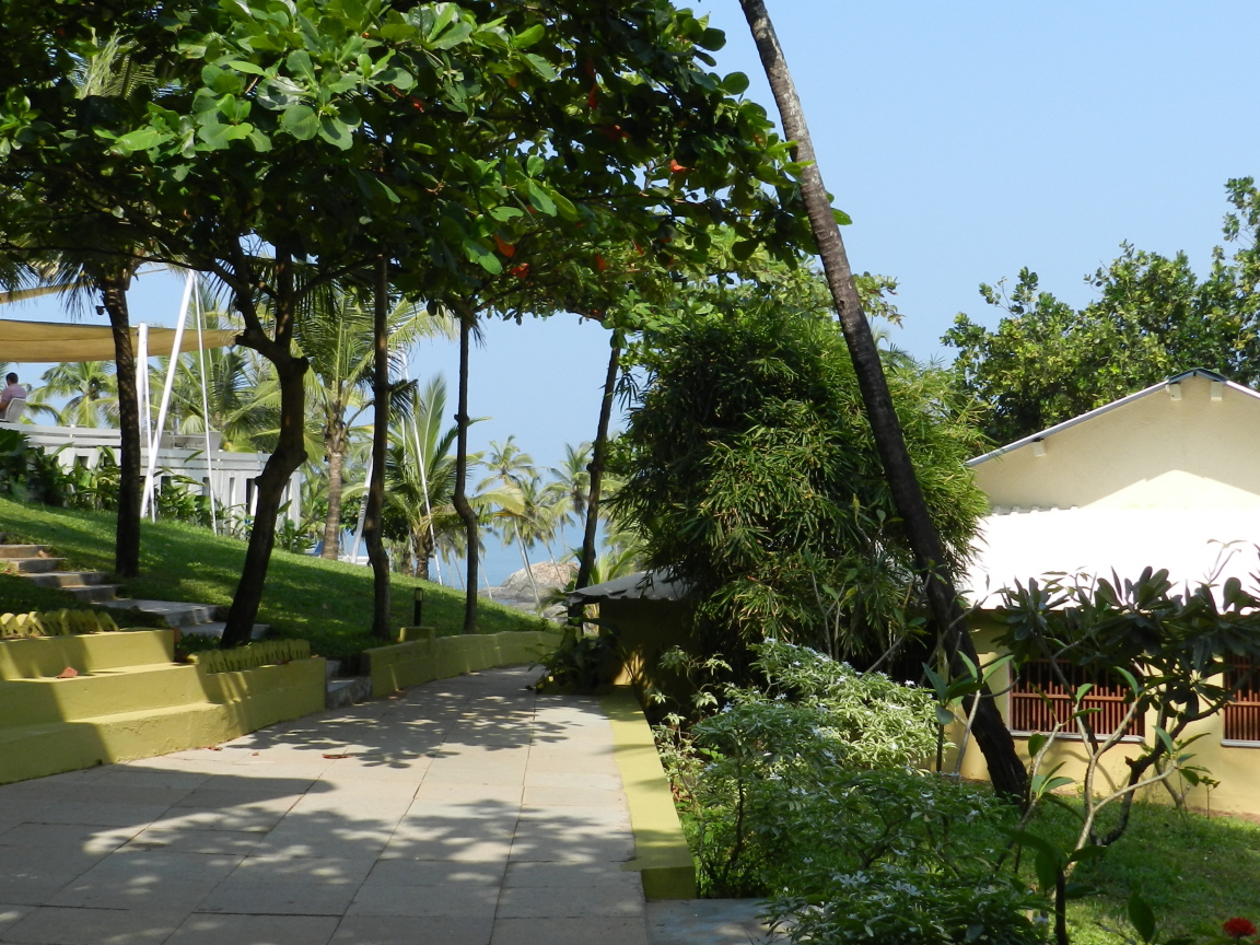 Летний отпуск в Анджуне