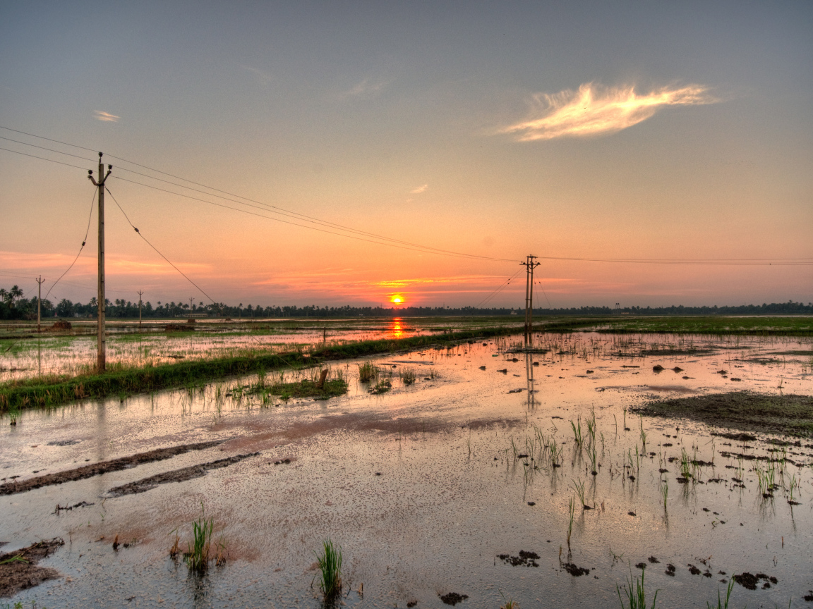 Водная местность в Алапуже