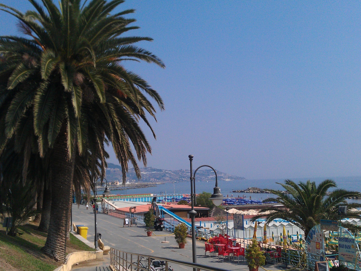 Пальмы на берегу в Сан Ремо, Италия