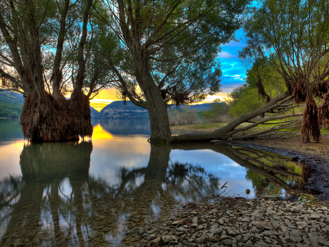 Деревья в озере, Абруццо, Италия