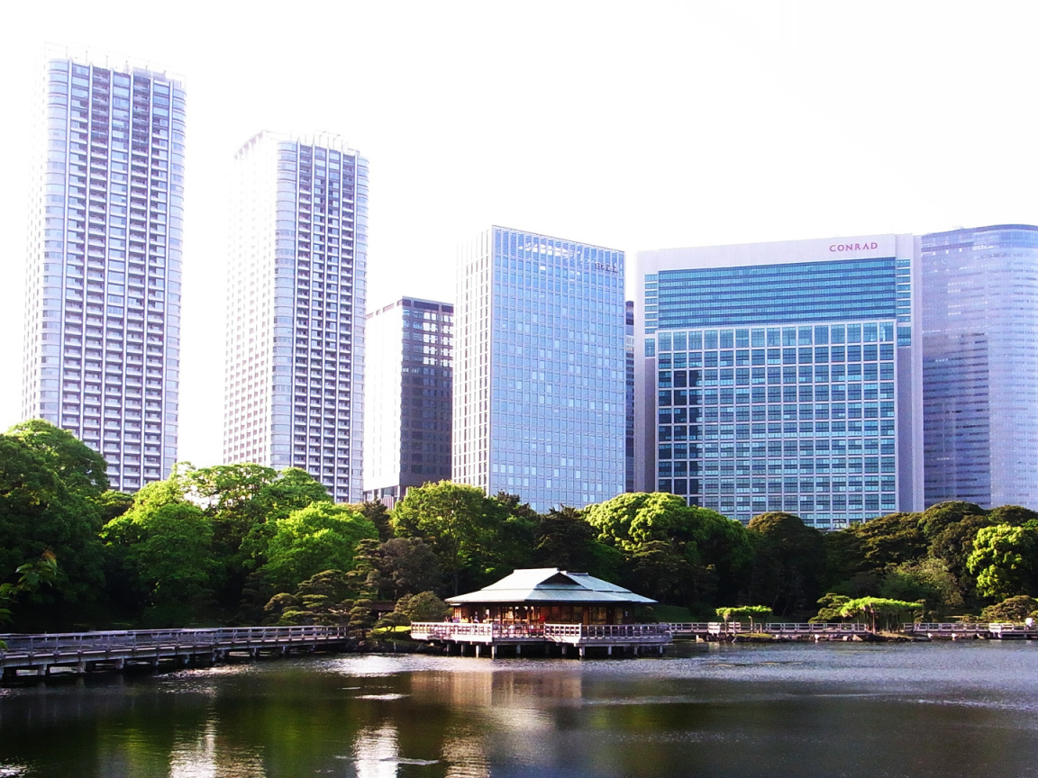 Озеро на фоне зданий в Токио