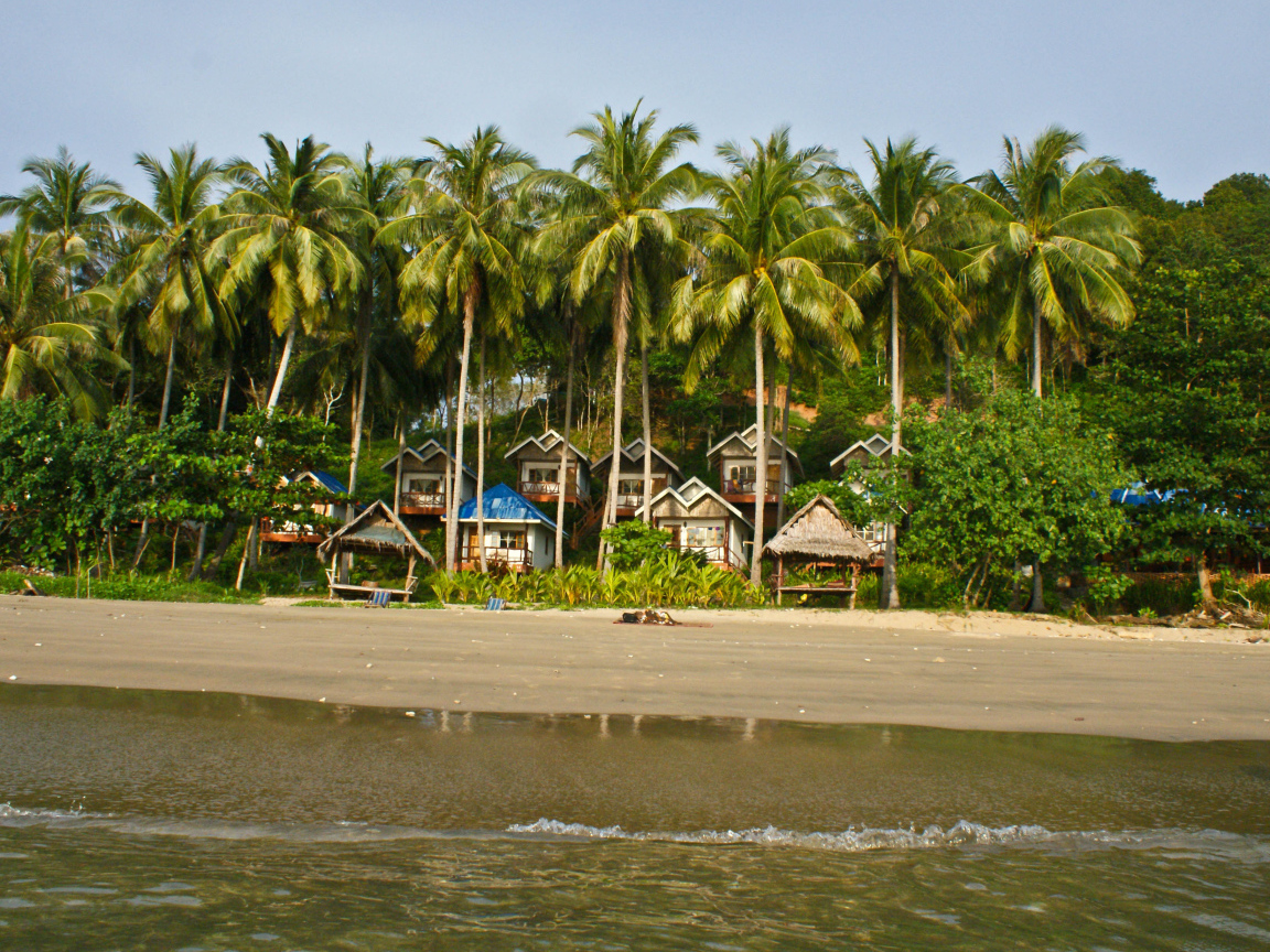 Дома среди пальм на острове Тао, Таиланд