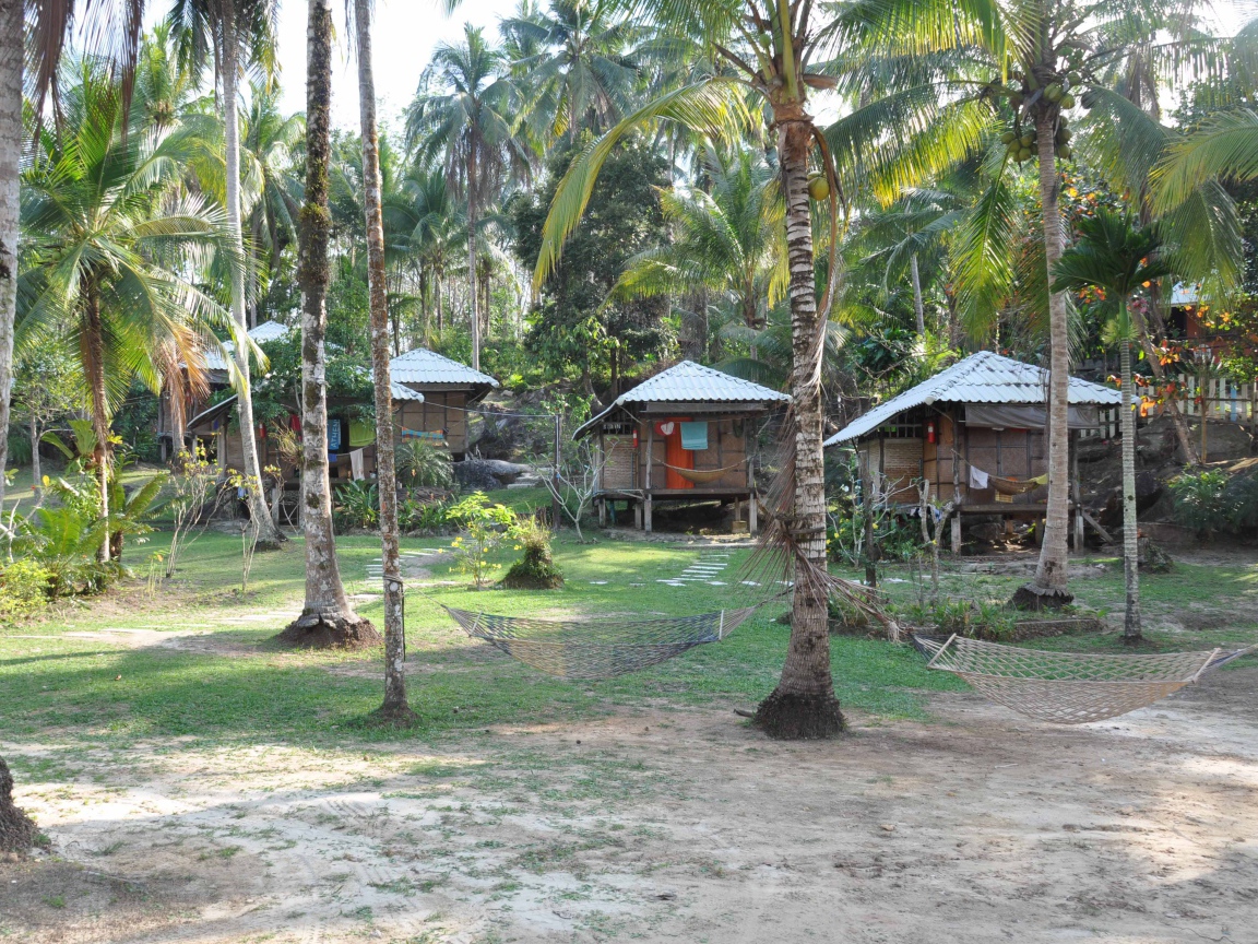 Хижины среди пальм на острове Ко Куд, Таиланд