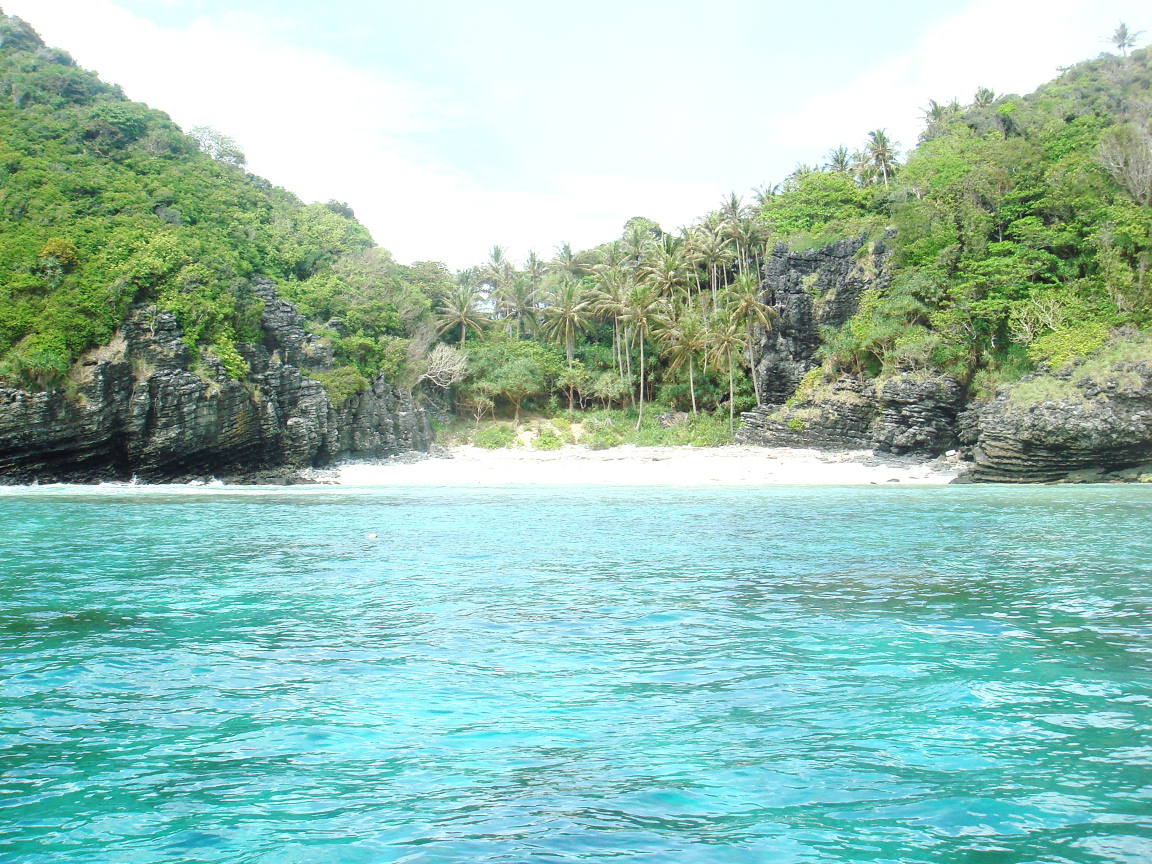Пальмы на берегу в Пхукете, Таиланд