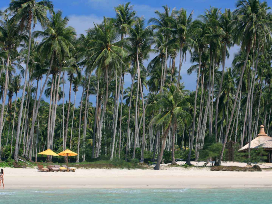 Palms on the beach in Koh Kood, Thailand