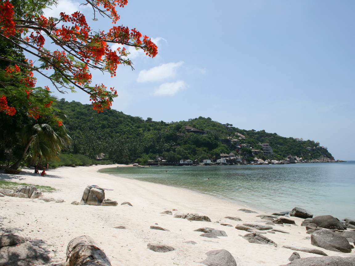 Песчаный пляж на острове Тао, Таиланд