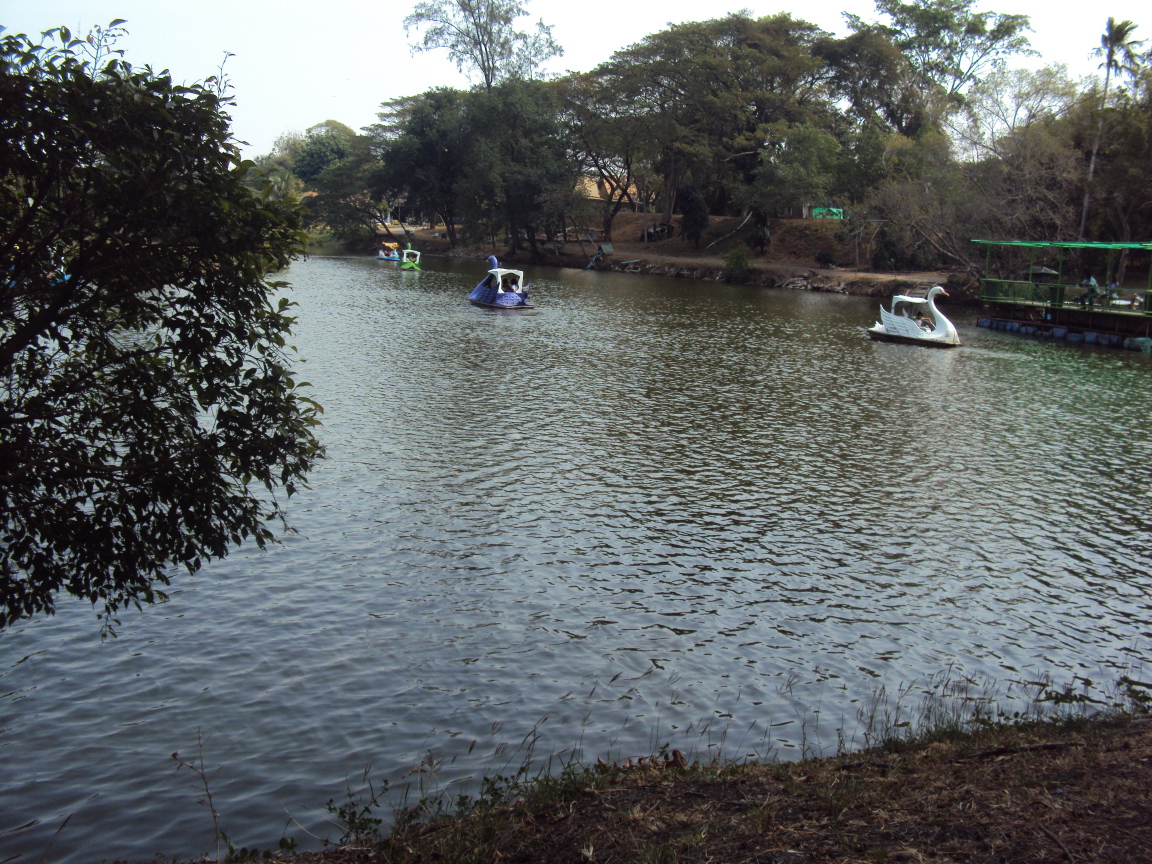 Зоопарк на курорте Лопбури, Таиланд