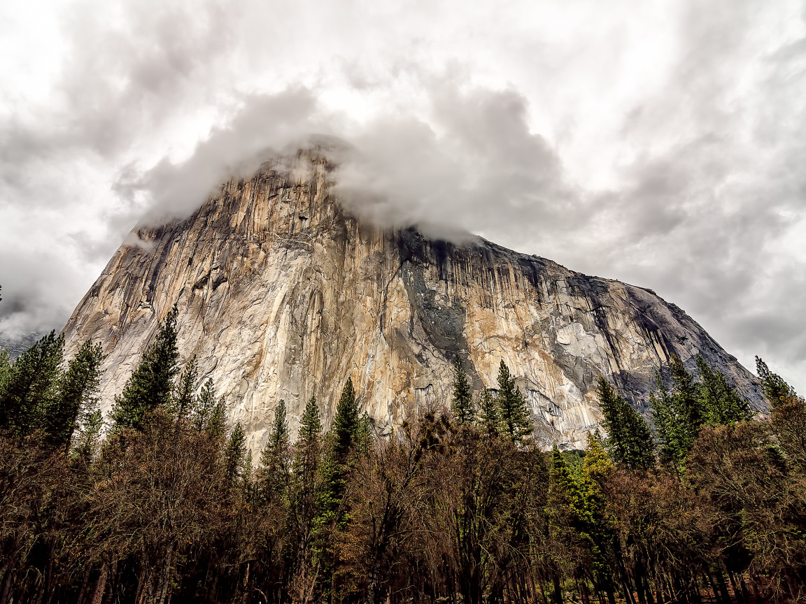 Горная вершина Эль-Капитан в Национальном парке Йосемити, Калифорния, США