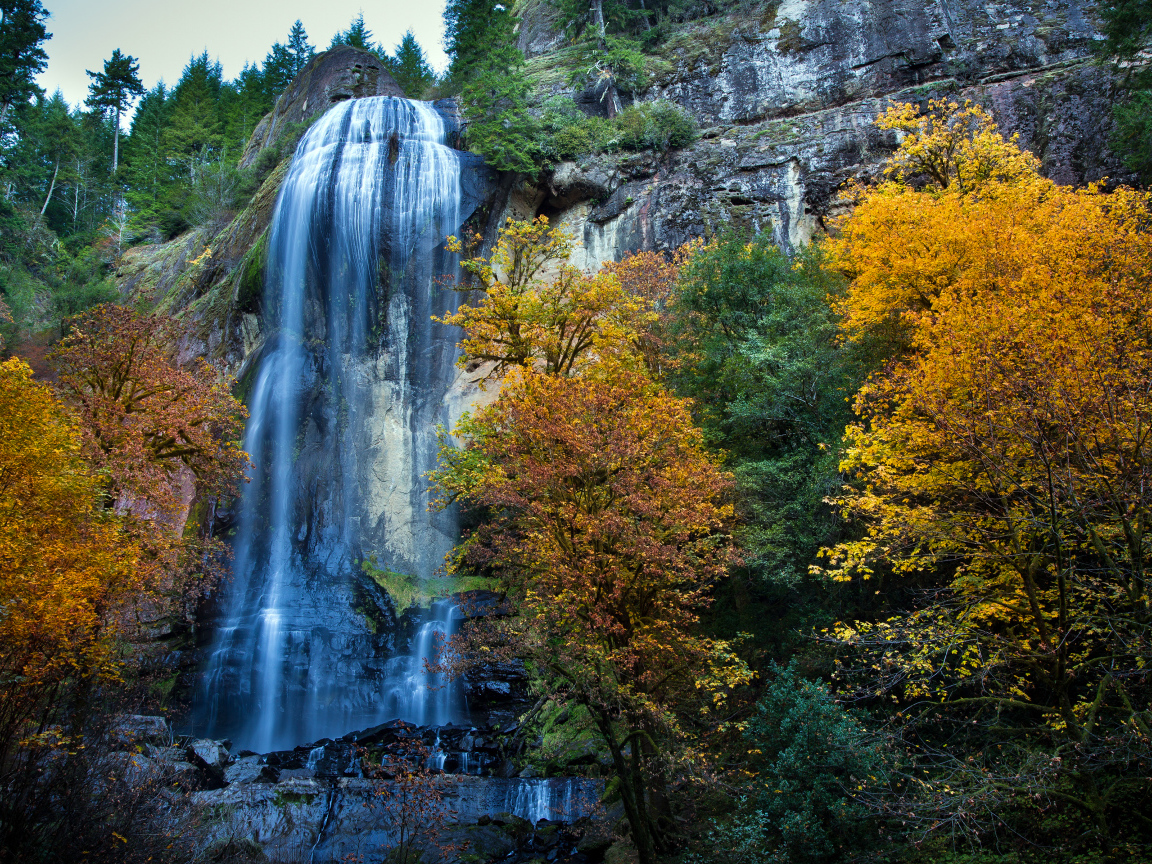 Парк Сильвер Фоллс, Западная Орегона, США