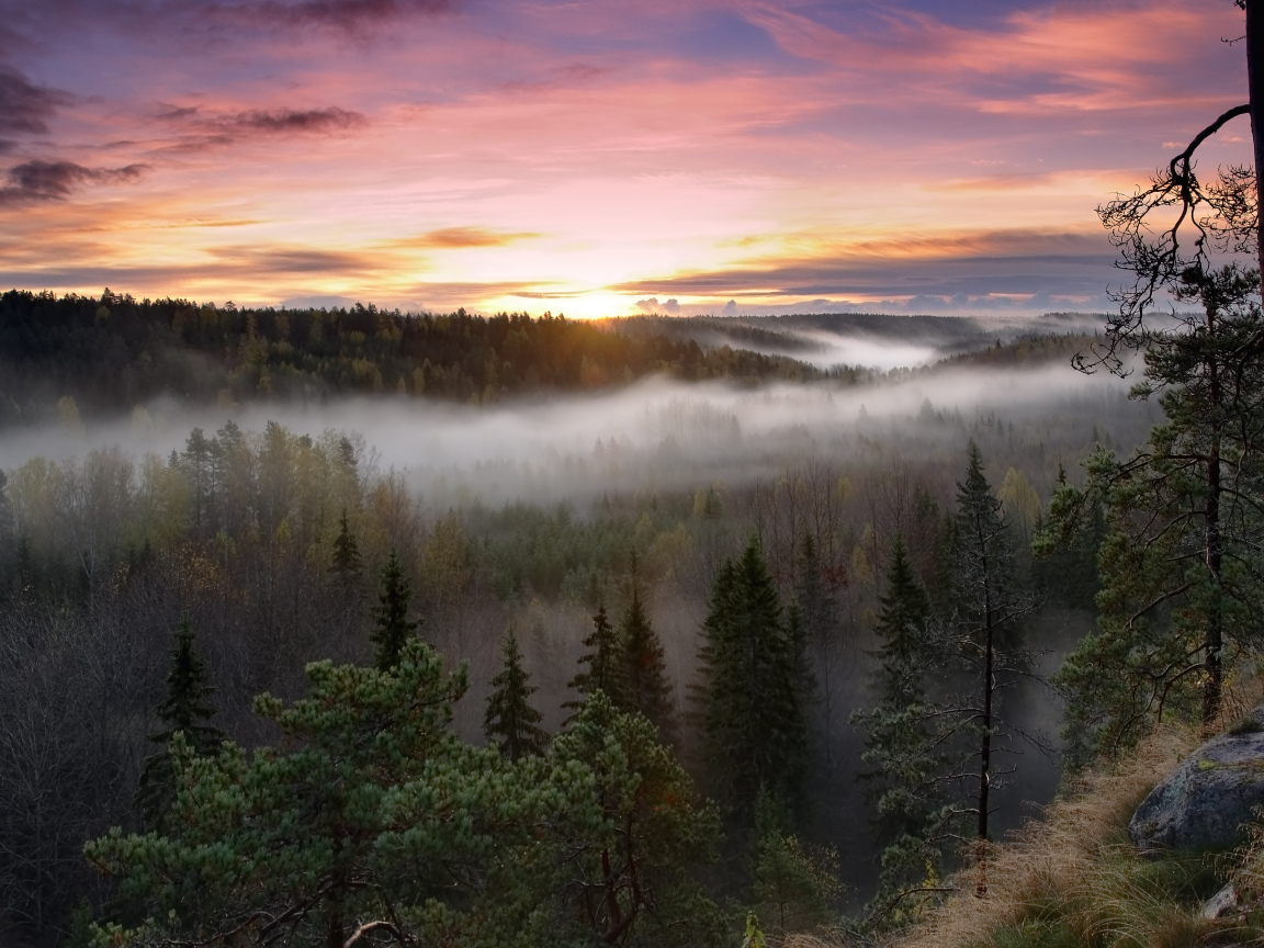Национальный парк Нууксио, Финляндия