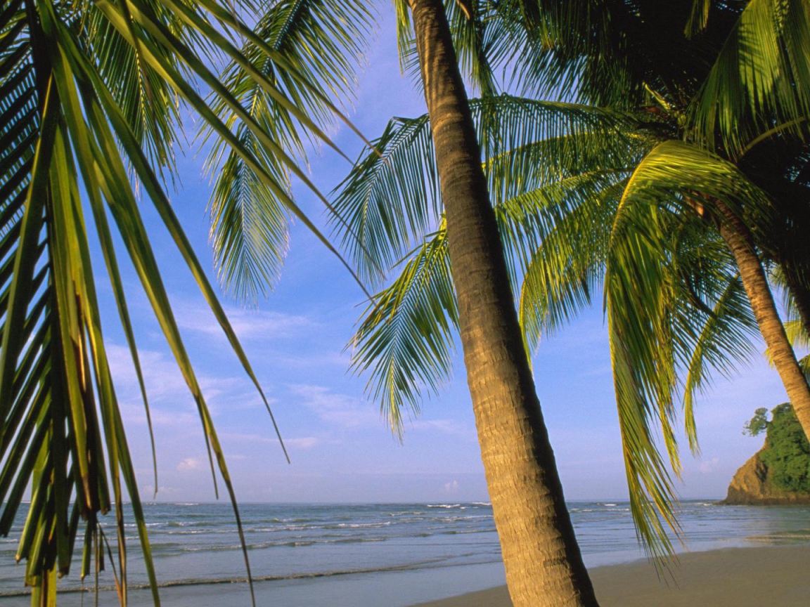 Потрясающая Погода Коста-Рика