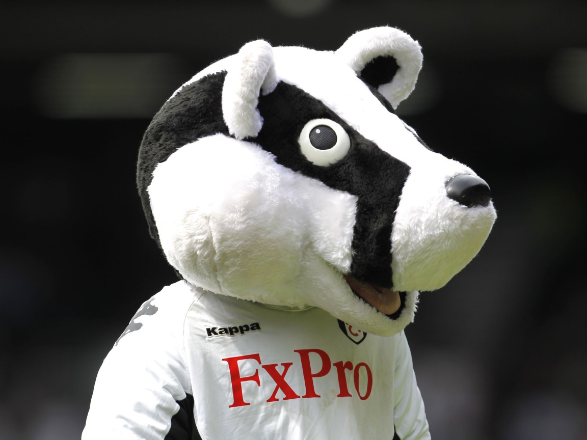 Лучший Футбольный клуб Фулхэм