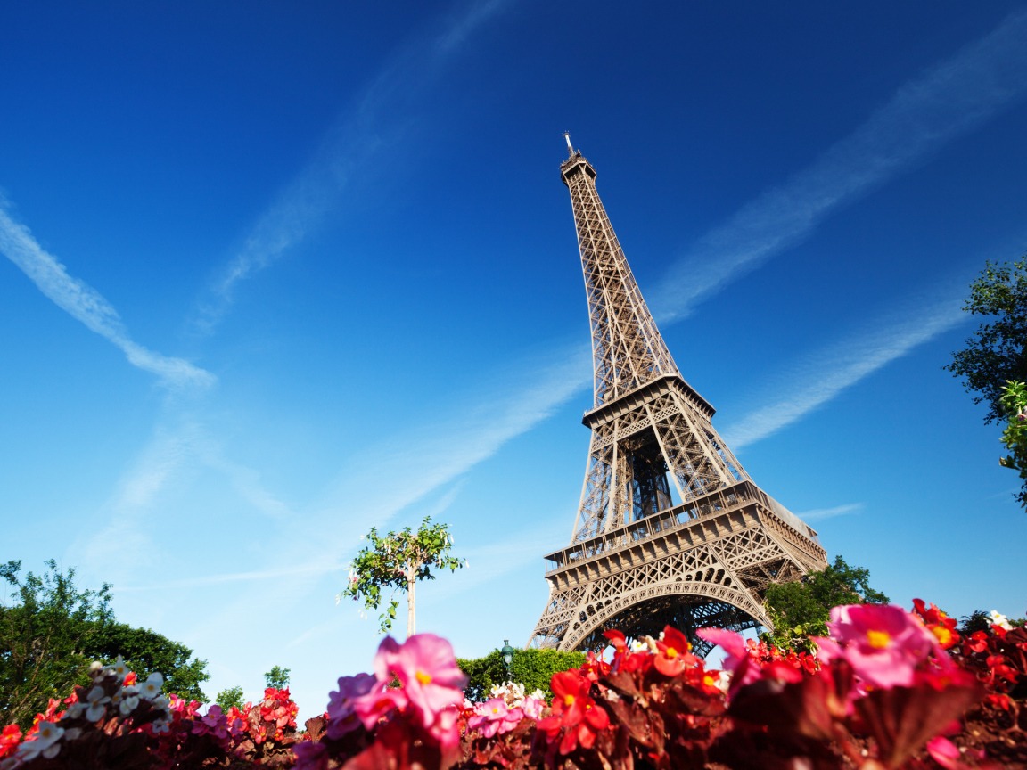 Flowers and Eiffel Tower
