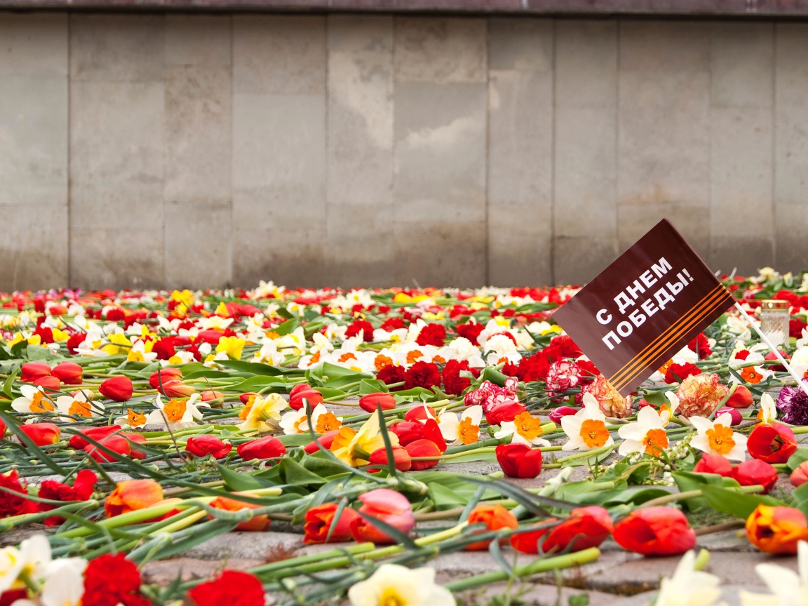 Цветы у памятника в День Победы 9 мая