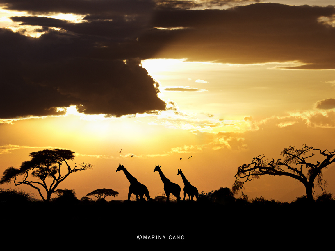 Photography sunset in africa