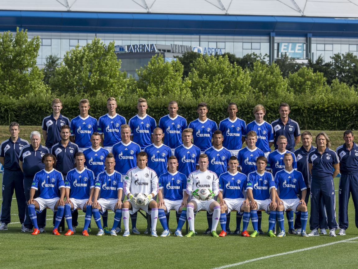 Шальке 04 2013