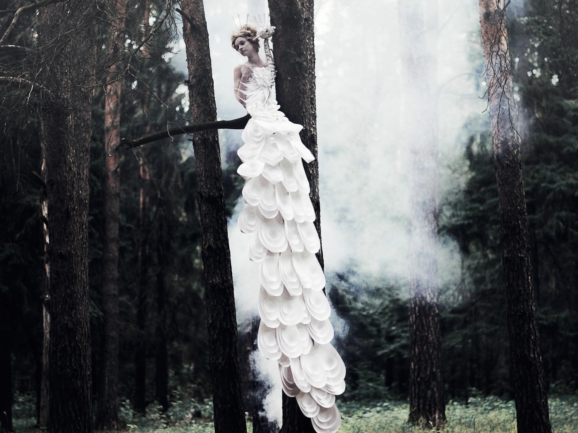 Фотография Девушка на дереве