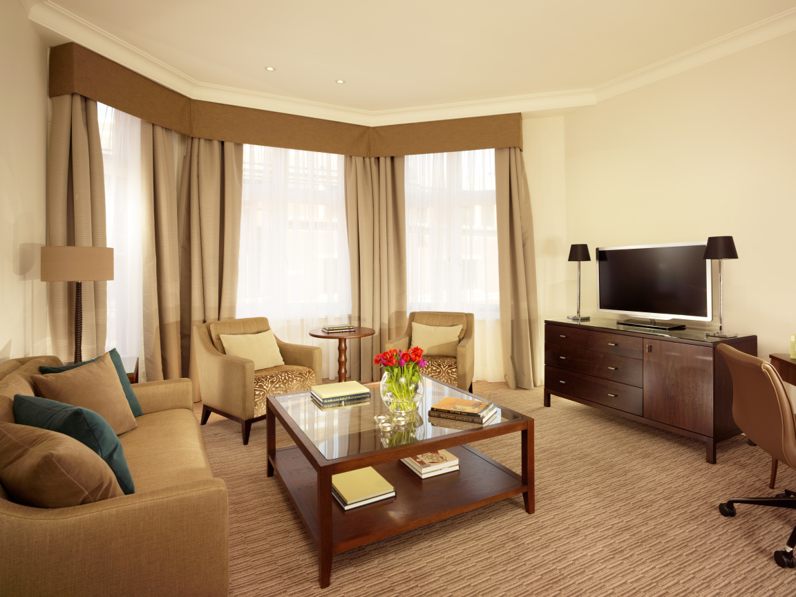 Овальная форма гостиной