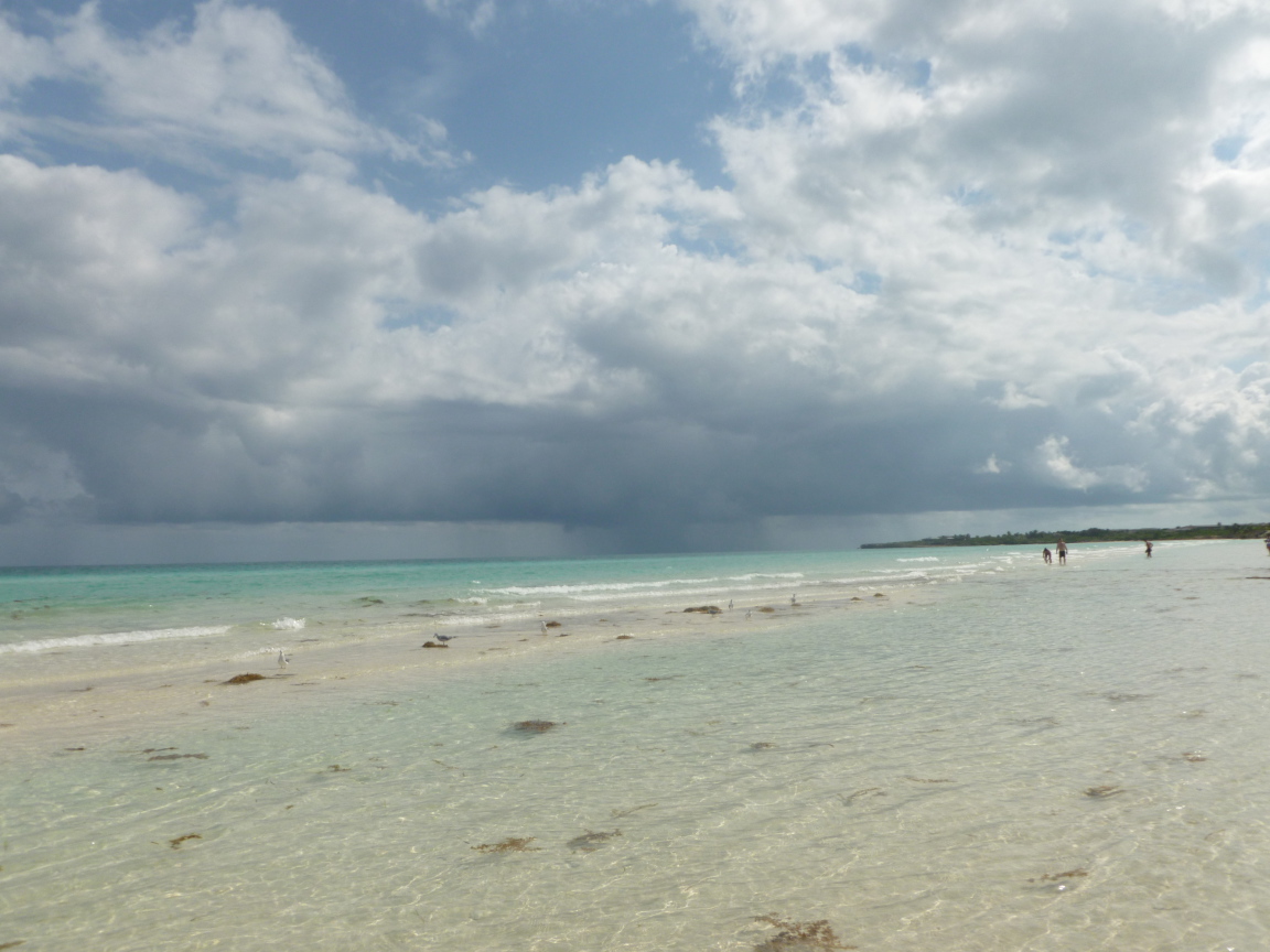 Зимний отдых на курорте Кайо Коко, Куба