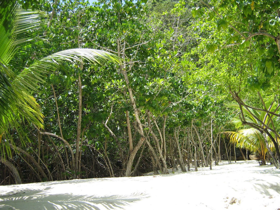 Захватывающие дух место в Гаити