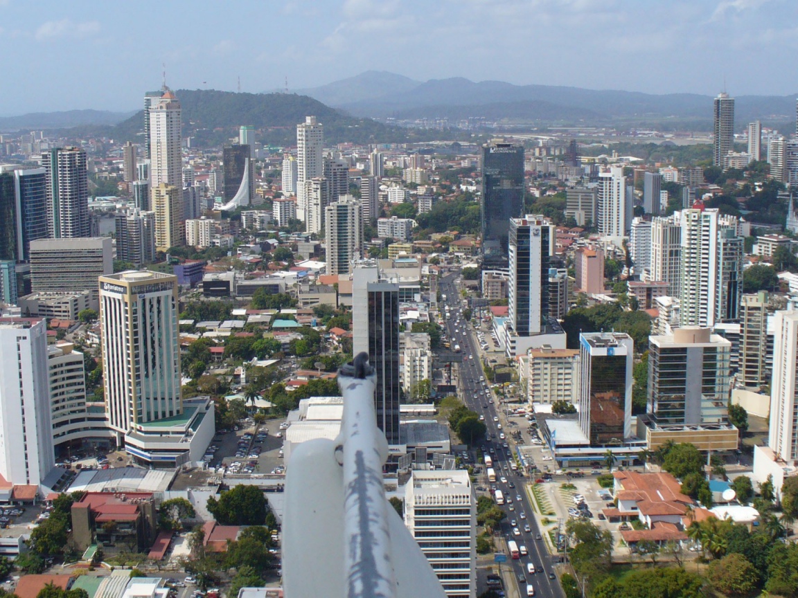 Элегантное Панама