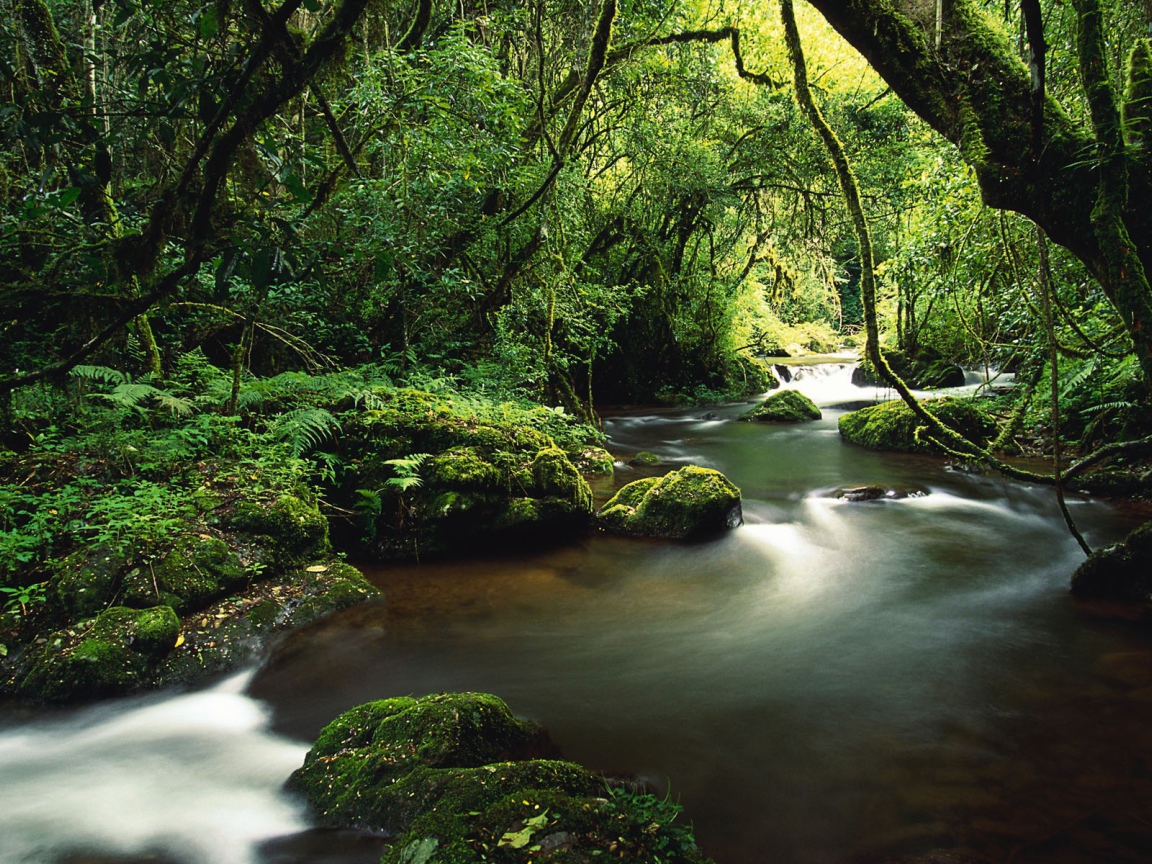 Туристическое Коста-Рика