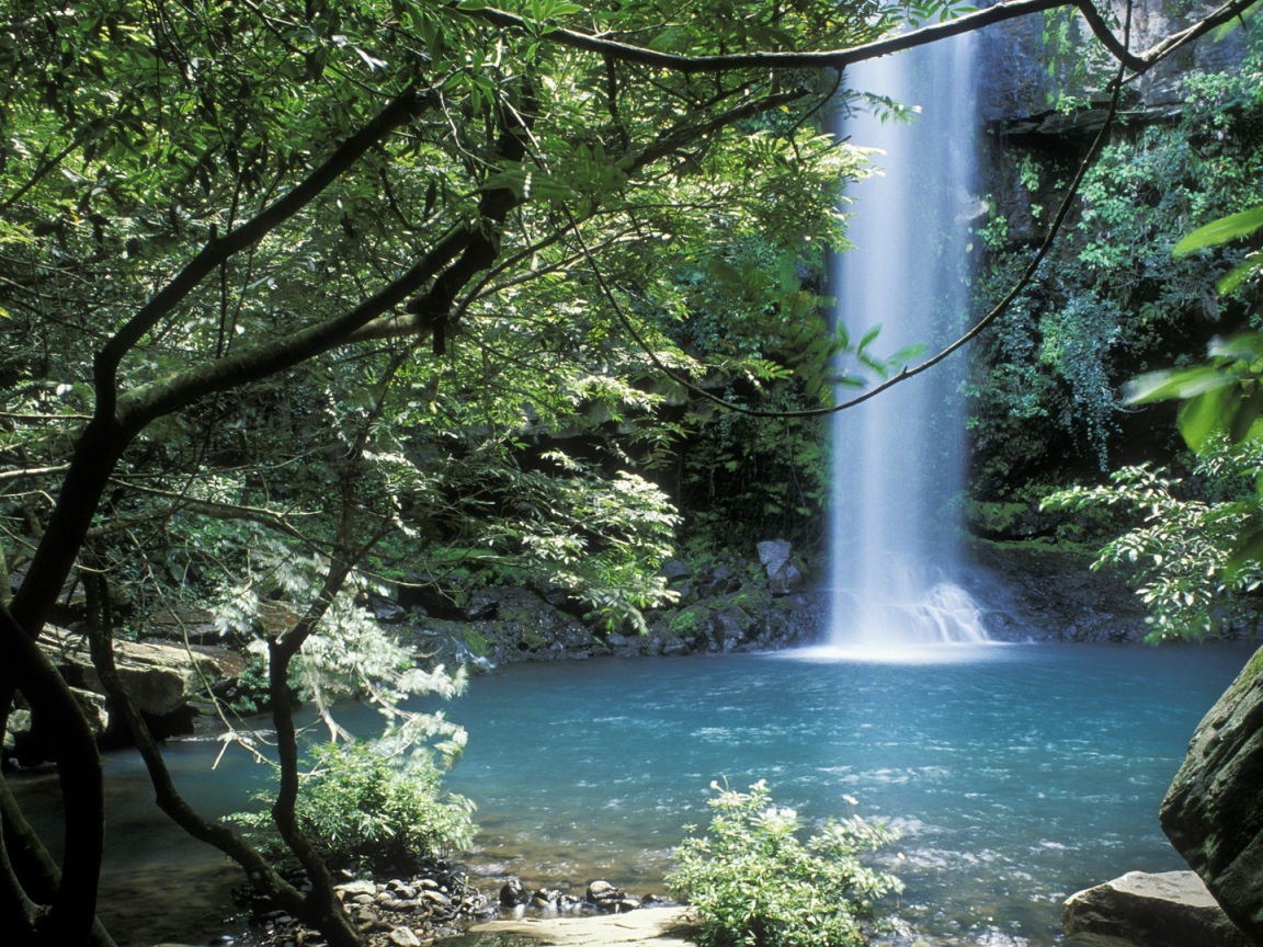 Невероятное место в Коста-Рика 