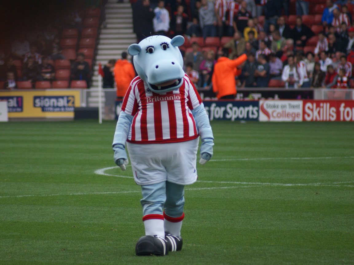 Известный ФК Сток Сити