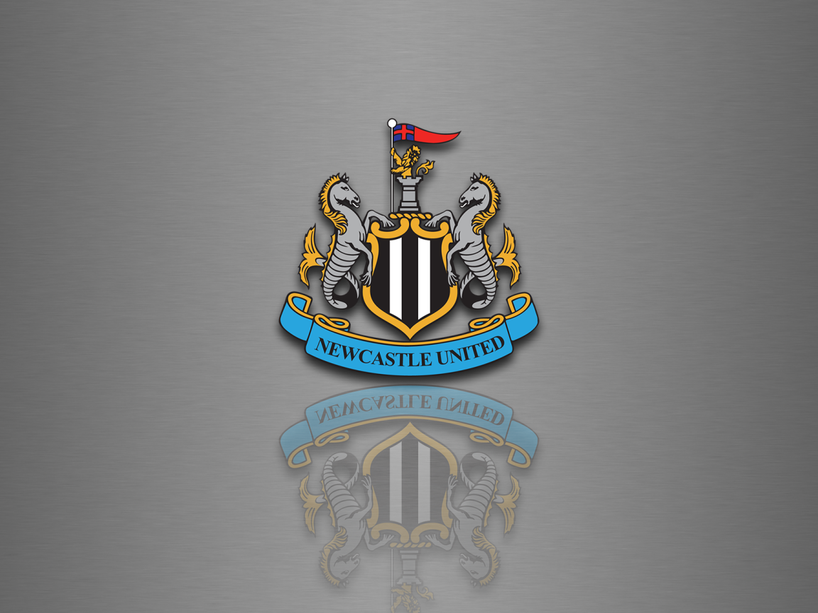 Известная футбольная команда Англии Ньюкасл Юнайтед