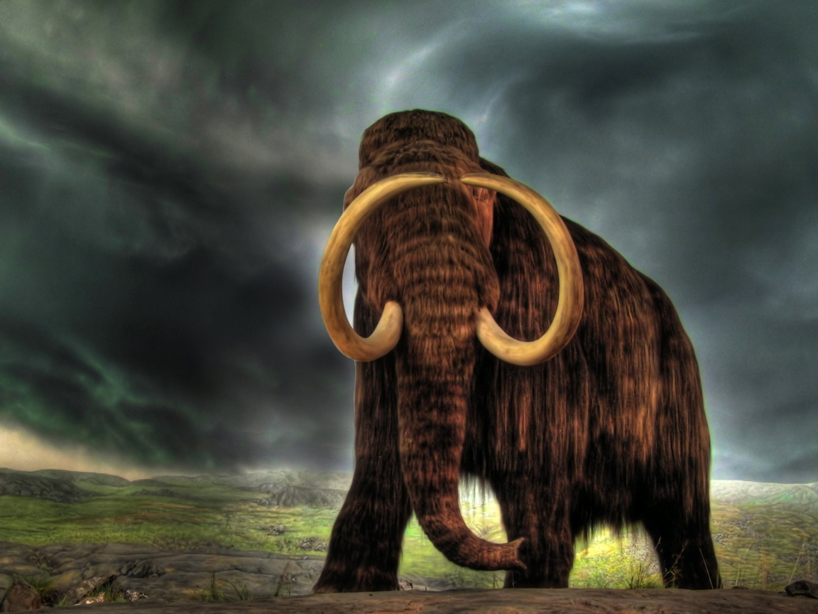 Косматый мамонт на фоне неба