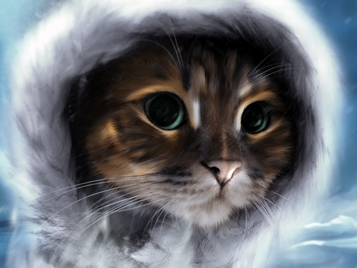 Кот в меховом капюшоне