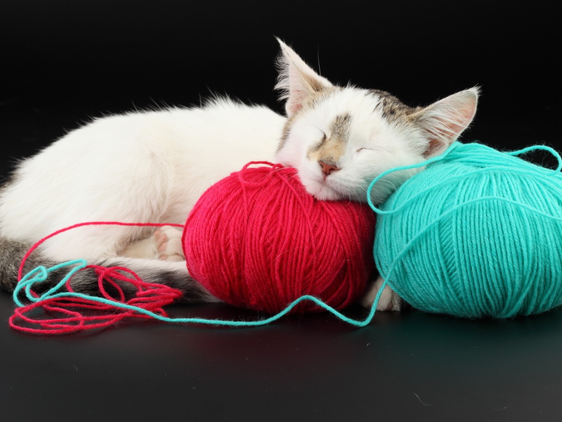 Котенок спит на клубках шерсти