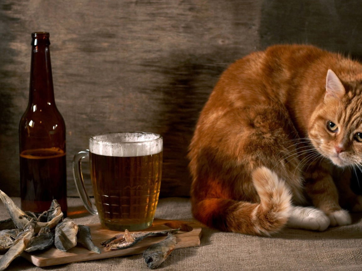 Рыжик тоже хочет пива