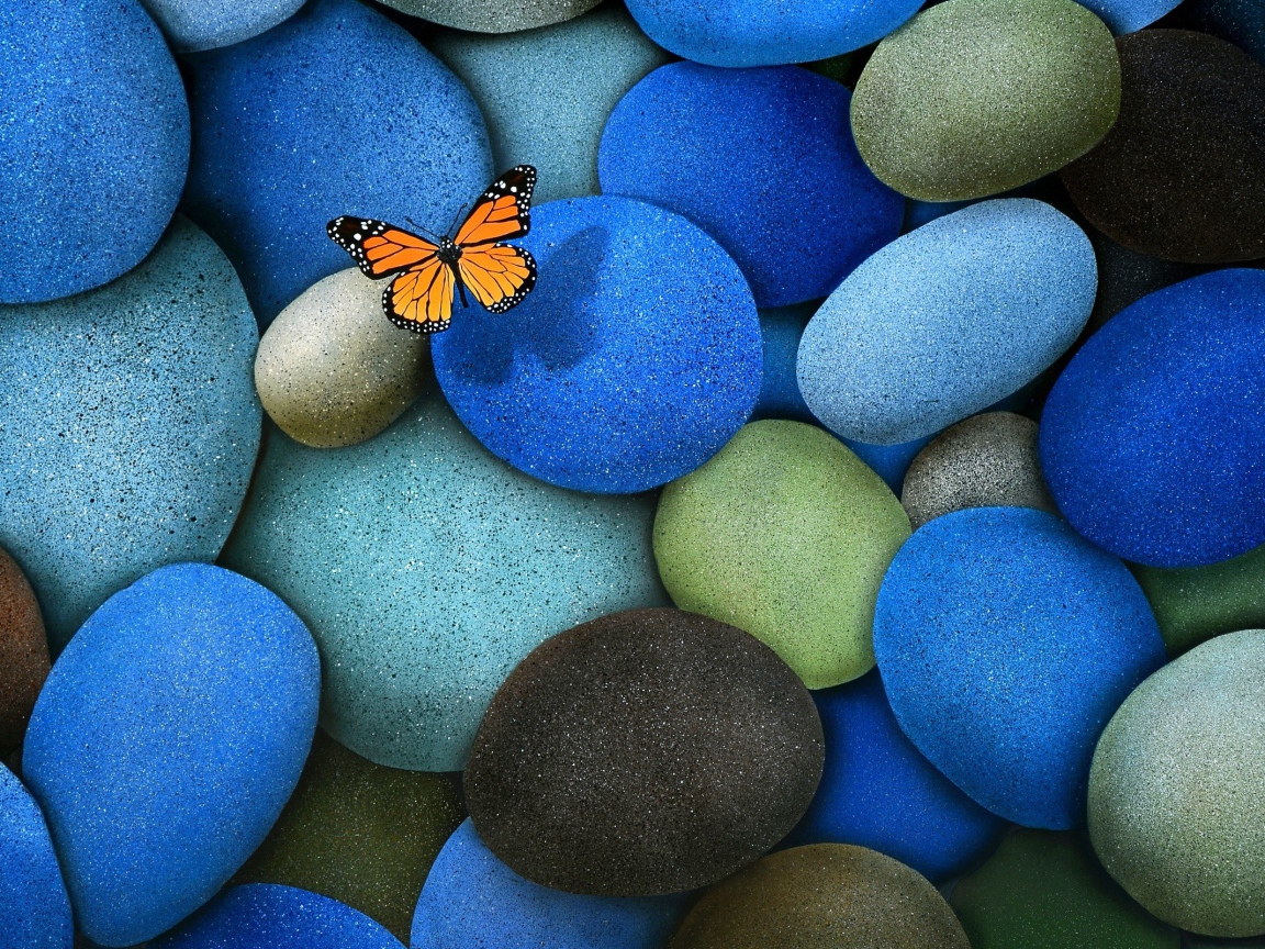 Бабочка на гладких камнях