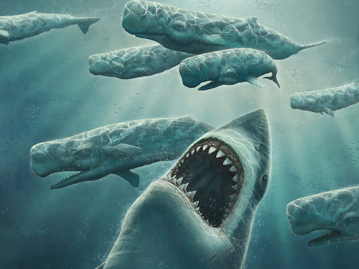 Охота зубастой акулы