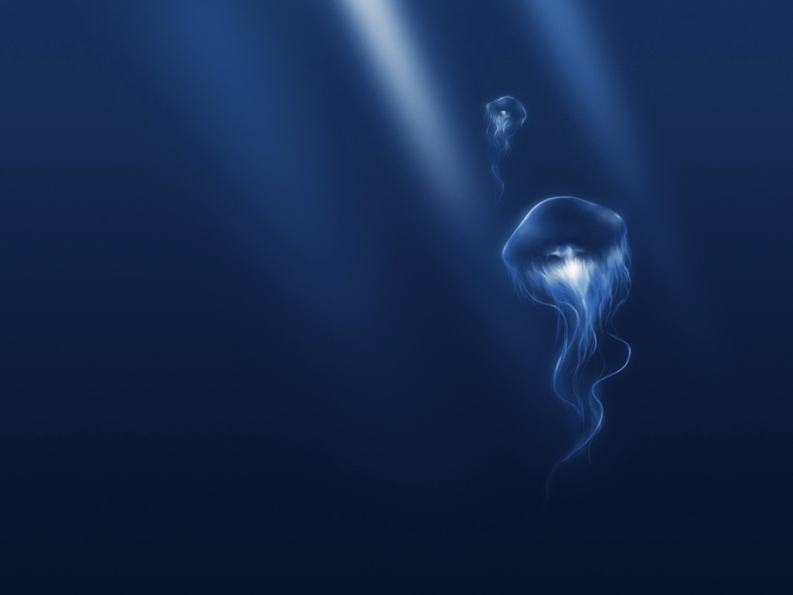 Медузы в синем океане