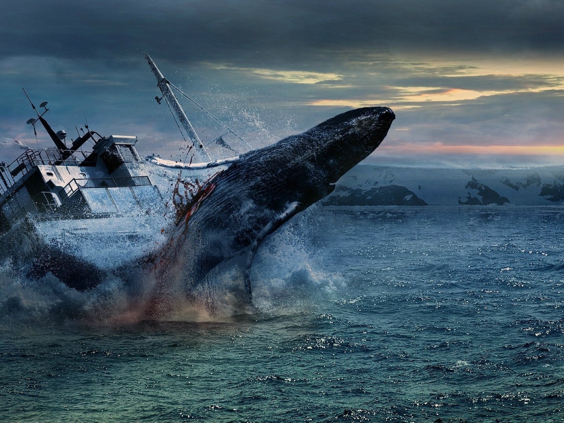 Кит мстит китобоям