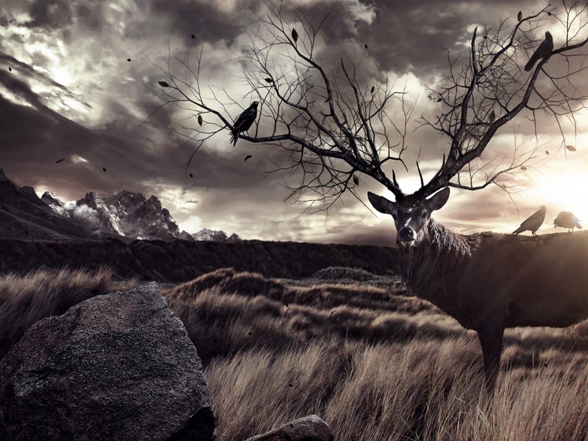 Птицы на ветвистых рогах оленя