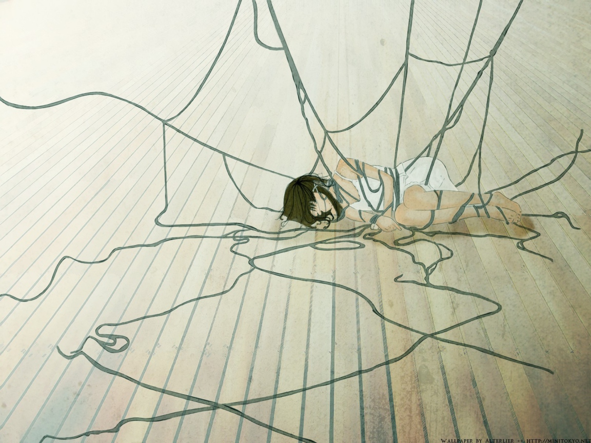 Девушка в сетях аниме