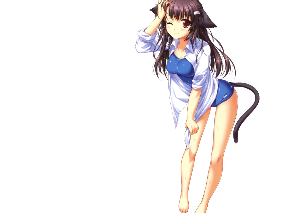 Девушка кошка, аниме Neko Para