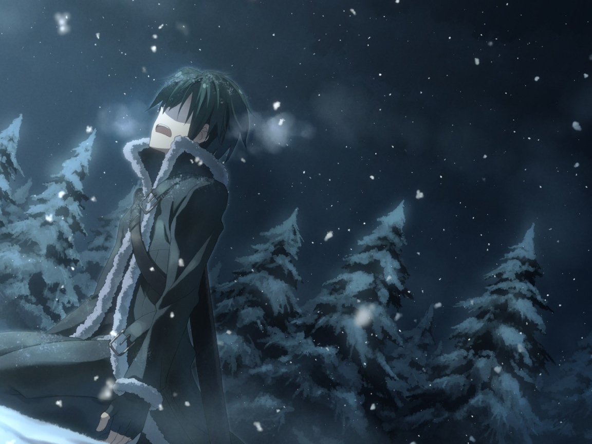 Одинокий герой аниме Sword Art Online